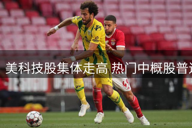 美科技股集体走高 热门中概股普遍下挫
