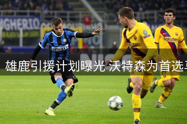 雄鹿引援计划曝光 沃特森为首选马瑟林为备胎